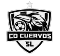 库尔沃斯FC