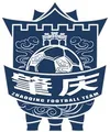 肇庆队