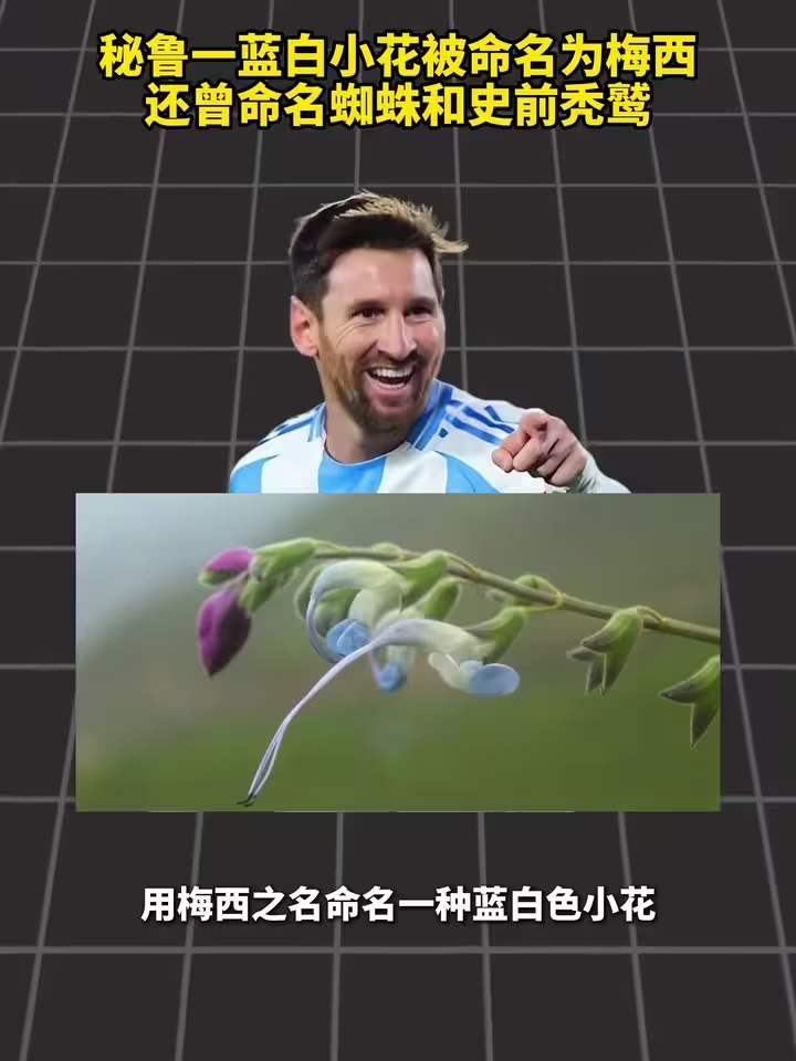 秘鲁一蓝白小花被命名为梅西，还曾命名蜘蛛和史前秃鹫！
